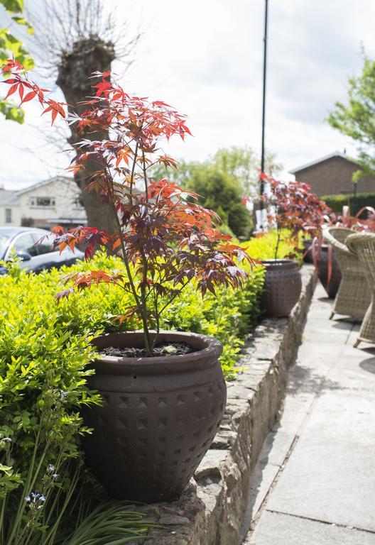 The Beaufort, Raglan Hotel ภายนอก รูปภาพ